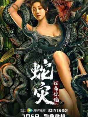 热门剧集